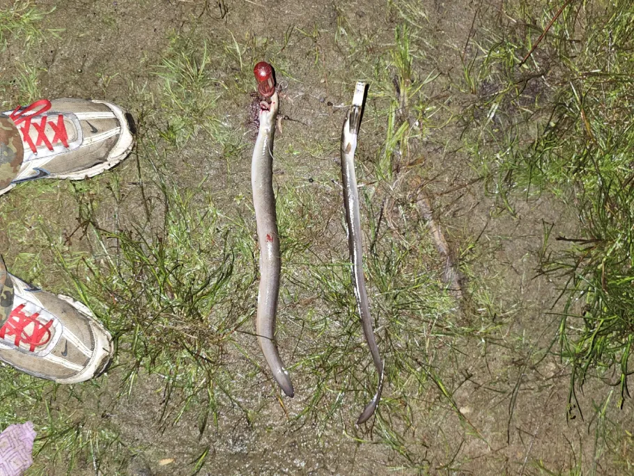 Heiseder Badesee angeln