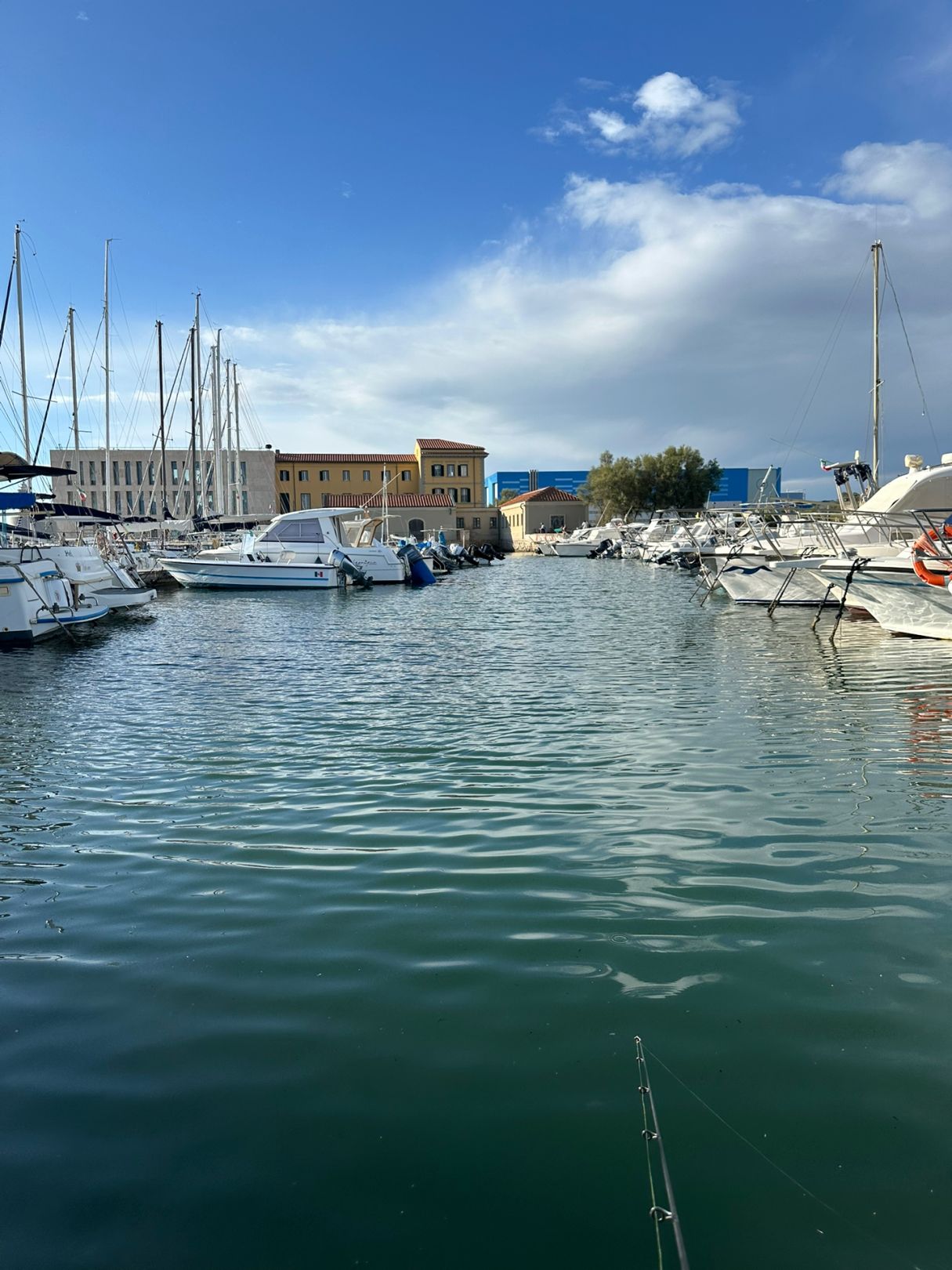 Mittelmeer (Livorno) angeln