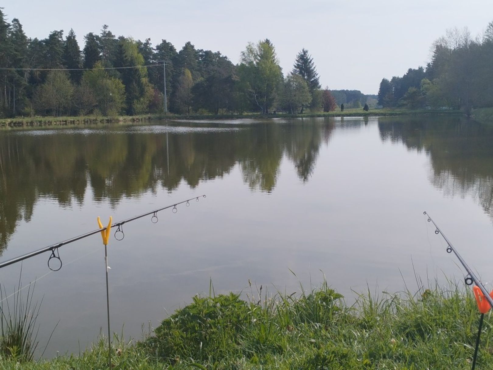 Angelweiher Finstermühle angeln