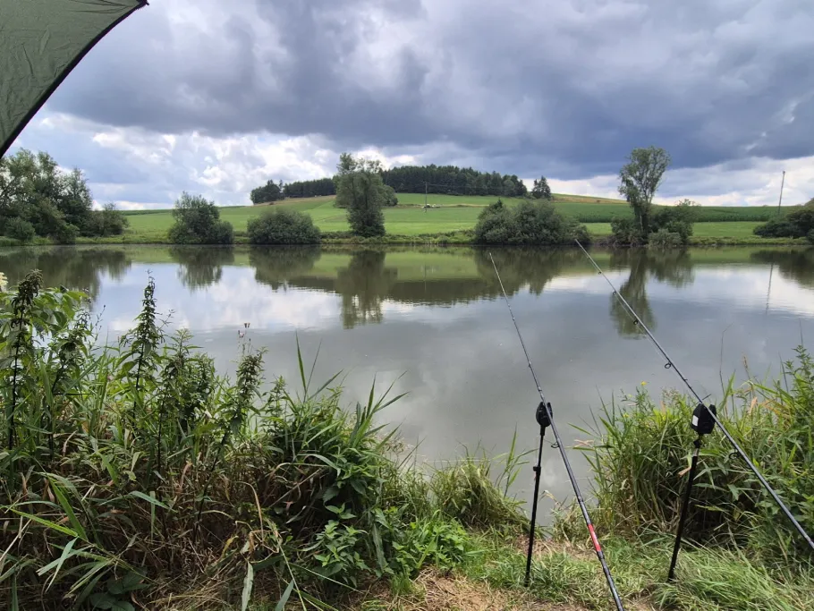 Sinkteich (Bad Steben) angeln