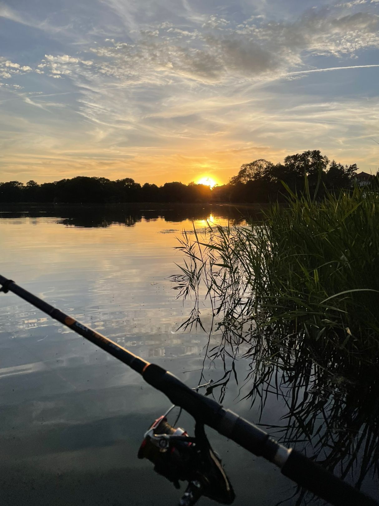 Lankower See (Schwerin) angeln