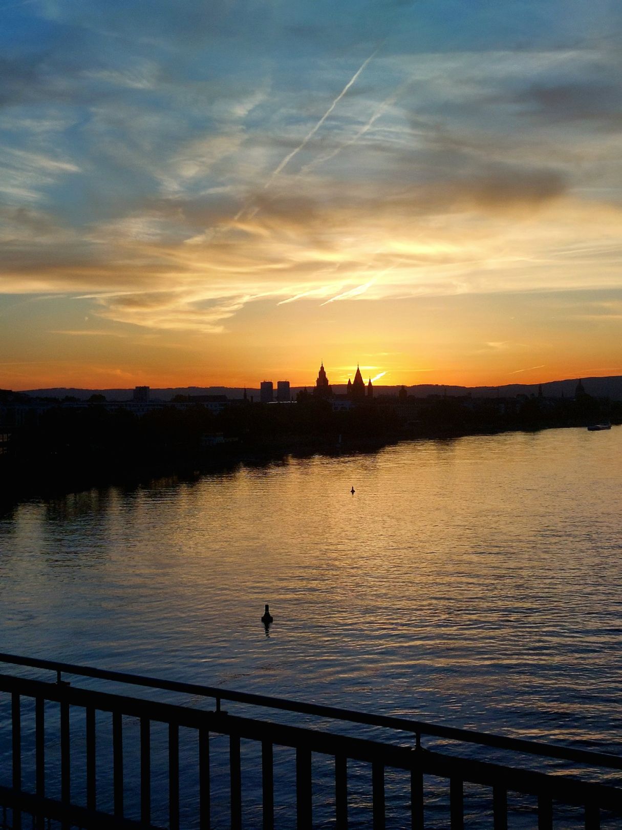 Rhein (Mainz) angeln