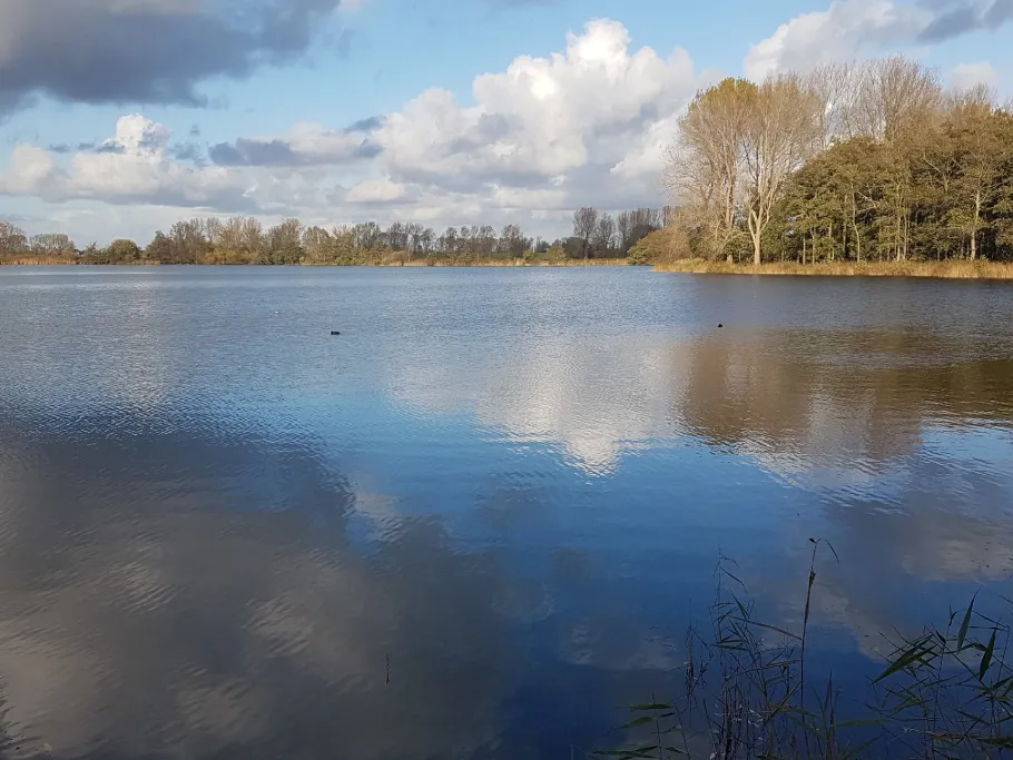 Erlensee (Weener) angeln