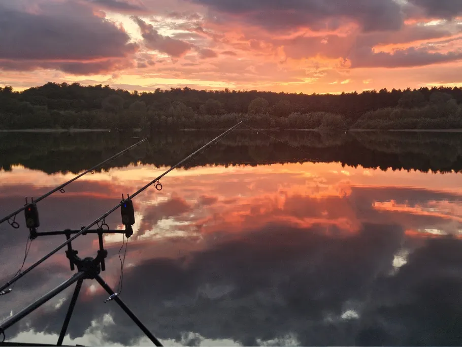 Morgensternteich angeln