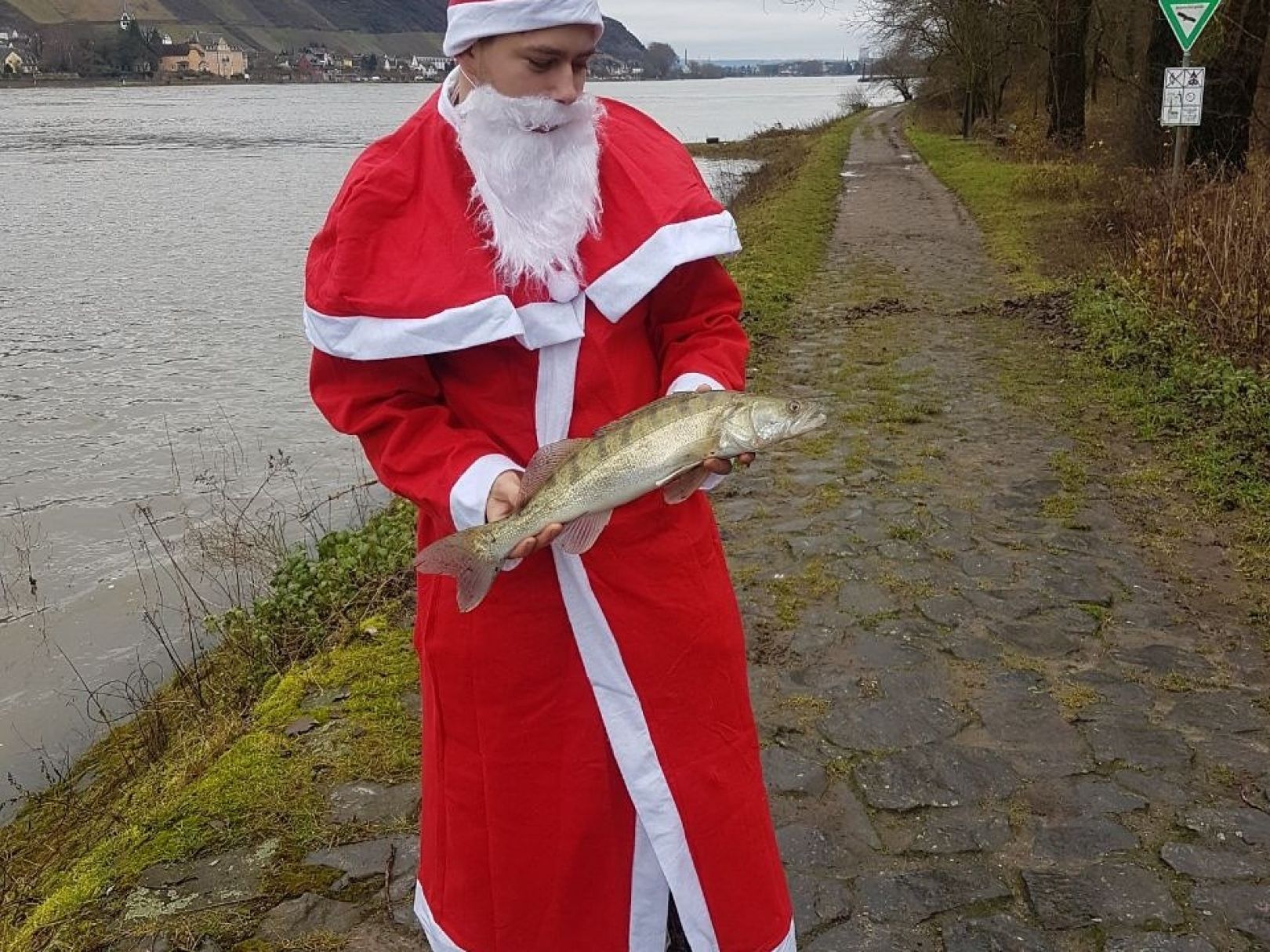 Rhein (Hartheim am Rhein) angeln