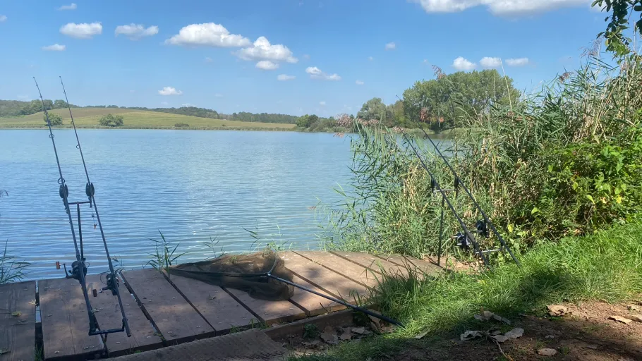 Étang du Moulin (Vergaville) angeln