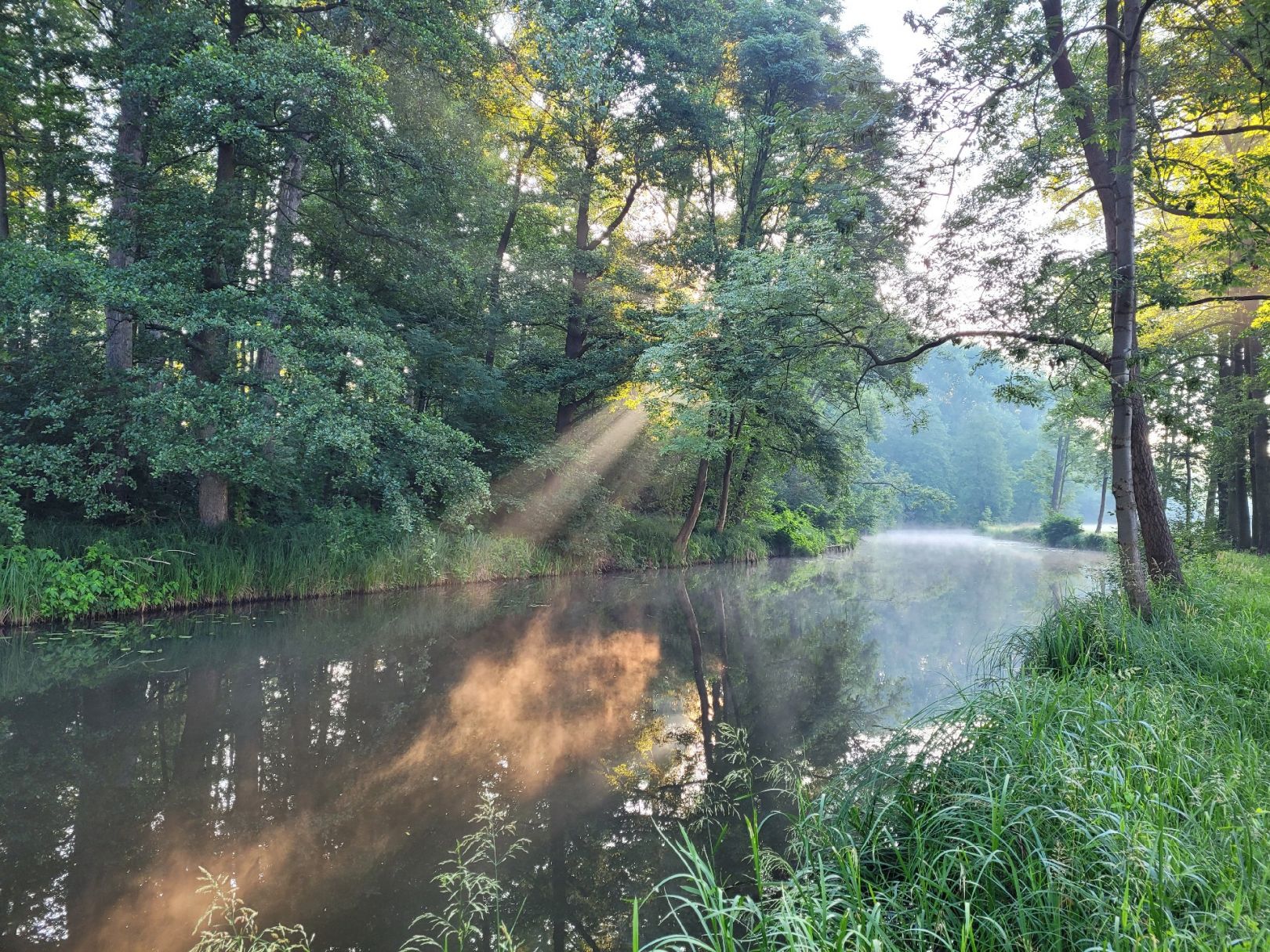 Südumfluter (Raddusch) angeln