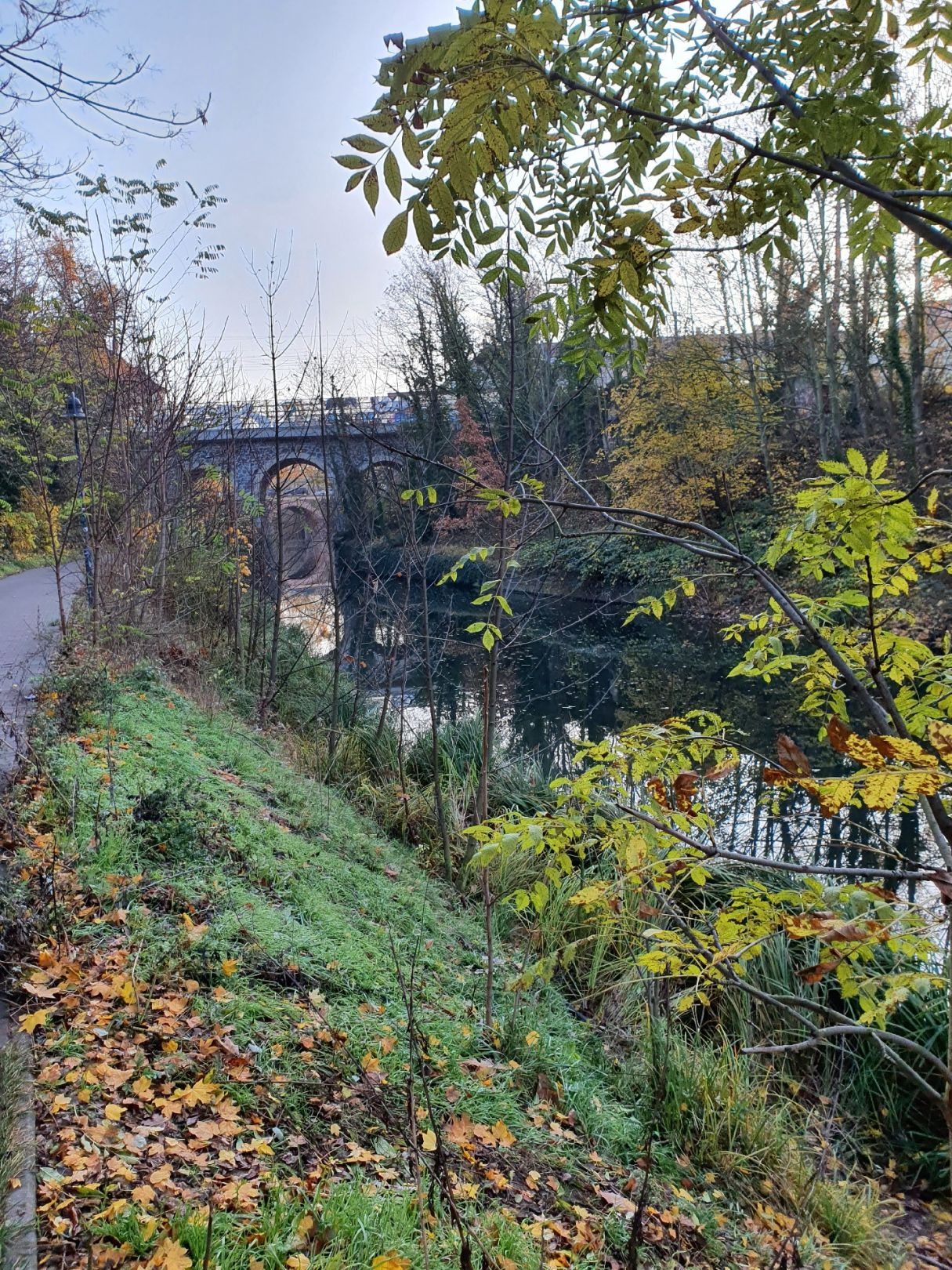Karl-Heine-Kanal (Leipzig) angeln