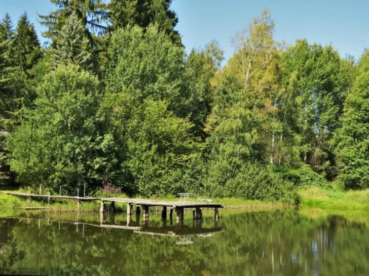Teich am Forsthaus (Uhlenstein) angeln