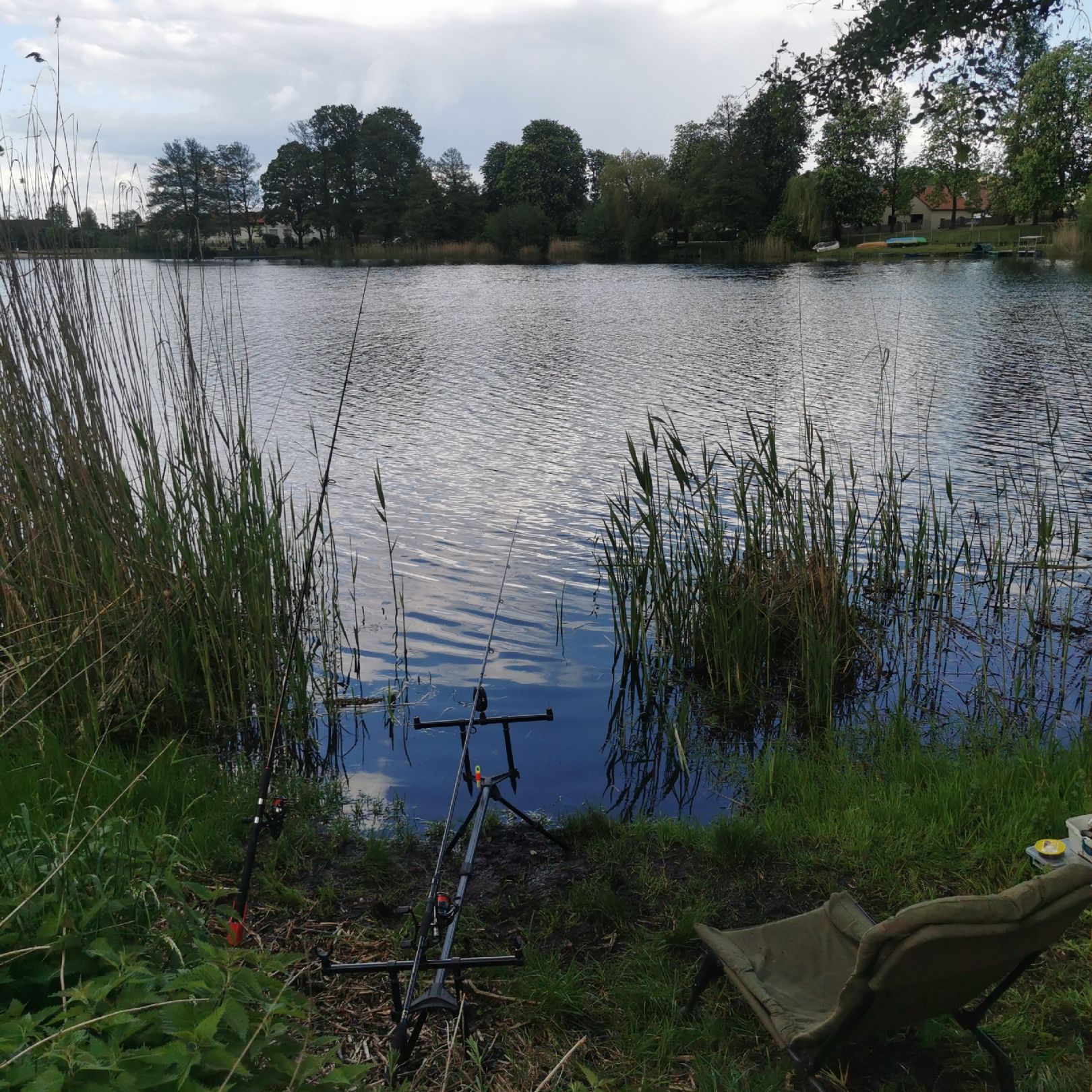 Mühlensee (Liebenwalde) angeln