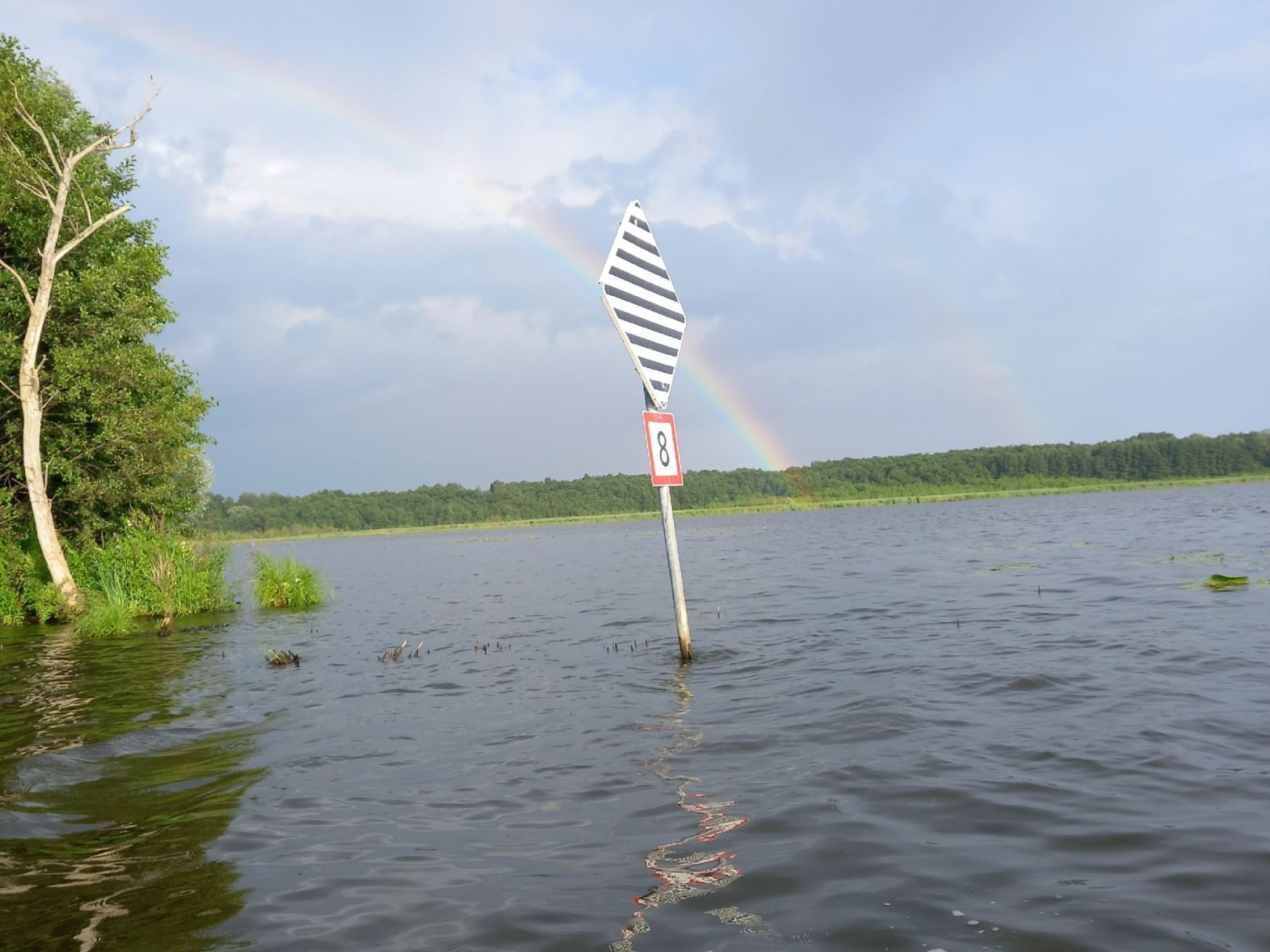 Köthener See angeln