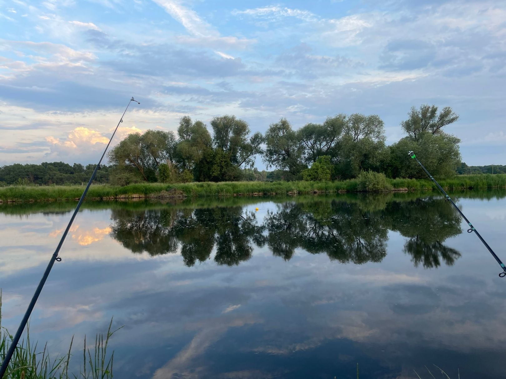 Mulde (Jeßnitz/Anhalt) angeln