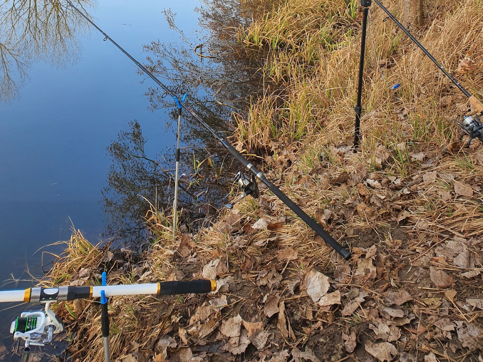 Nebelkanal (Bützow-Güstrow) angeln