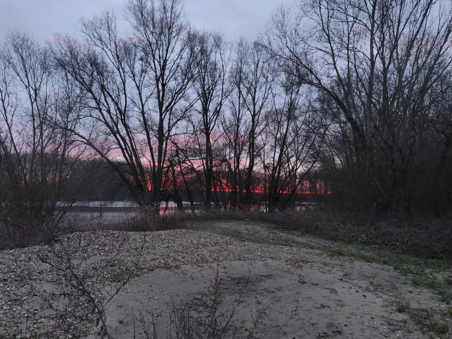 Neue Minthe (Germersheim) angeln