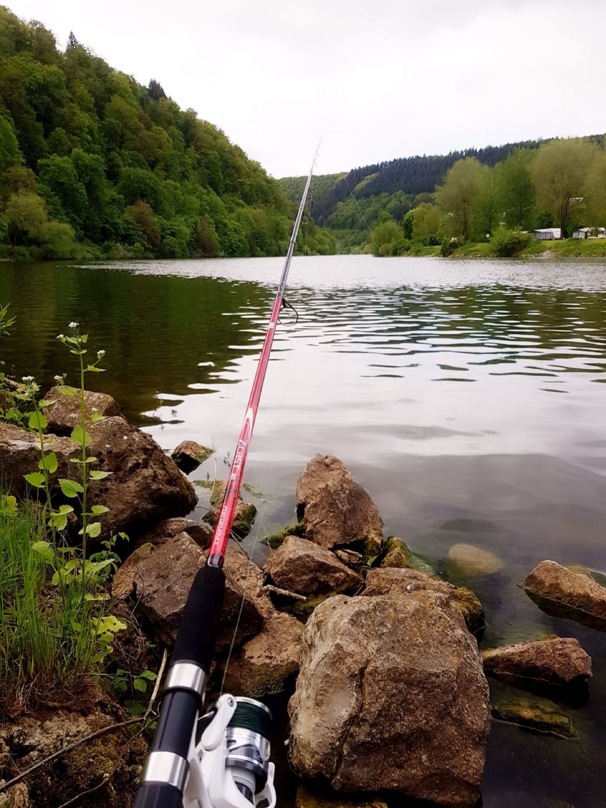 Neckar (Mosbach-Obrigheim) angeln