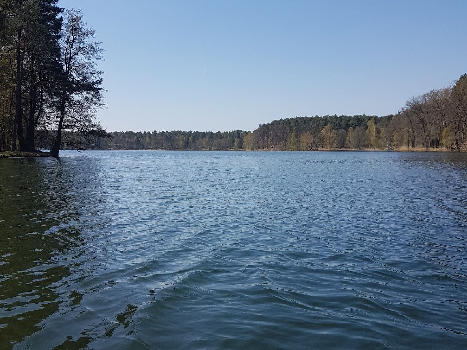 Kleiner Schwanensee (Jamlitz) angeln