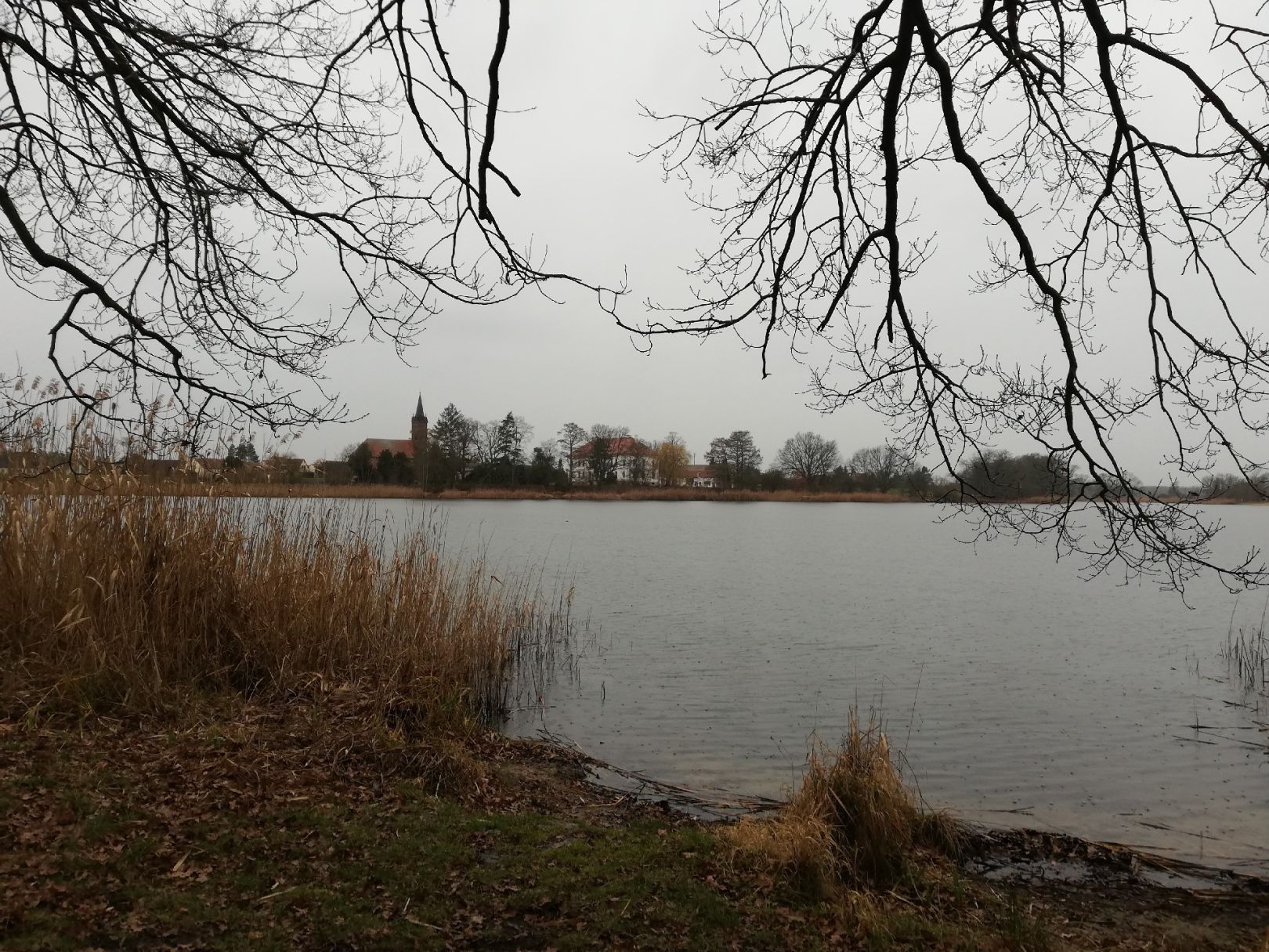 Kühnauer See angeln