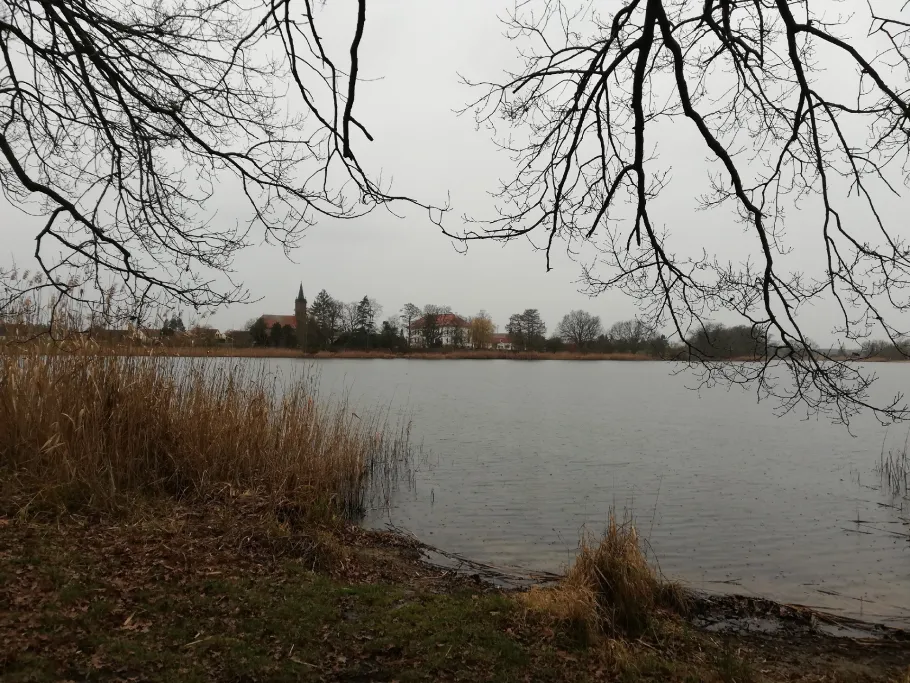 Kühnauer See angeln