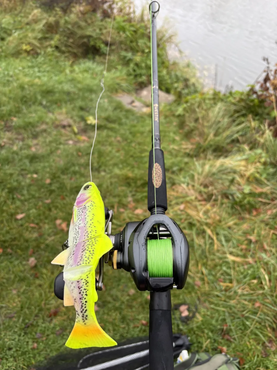 Mainsee (Theres) angeln