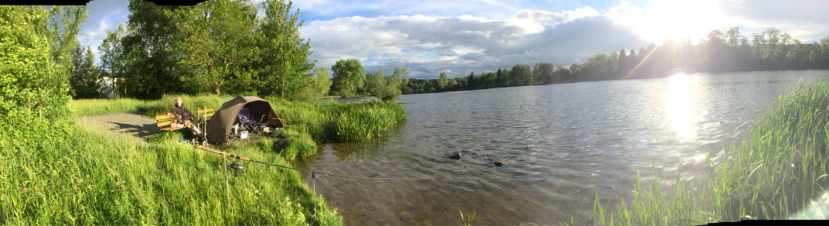 Stadtweiher (Kempten) angeln