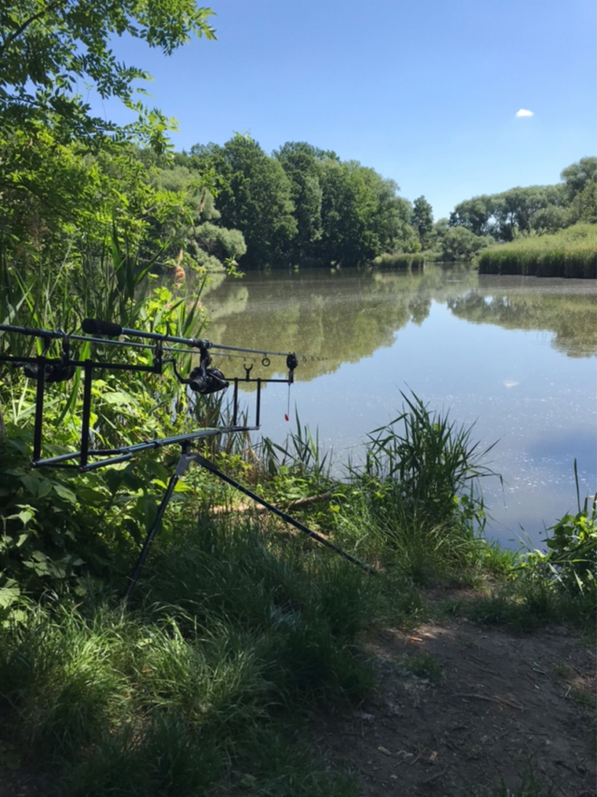 Krautteich (Wölkau) angeln