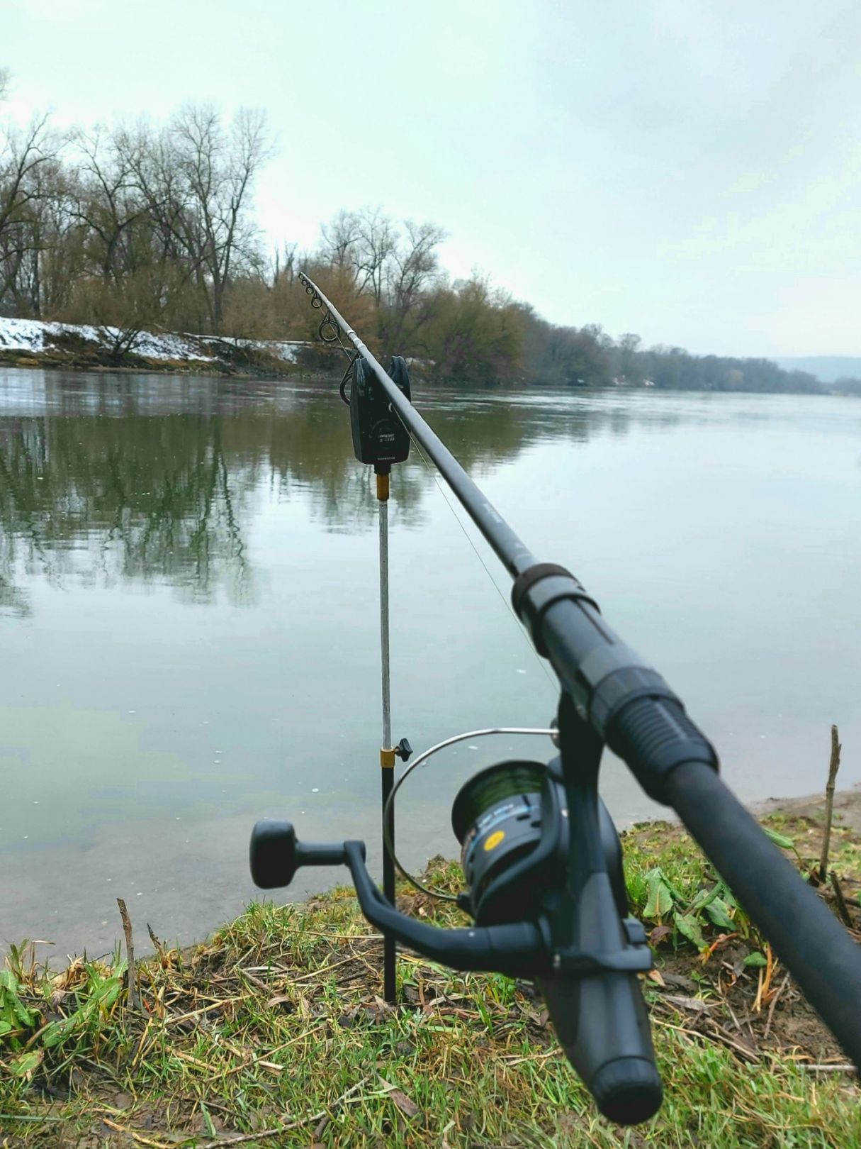 Donau (Bad Abbach) angeln