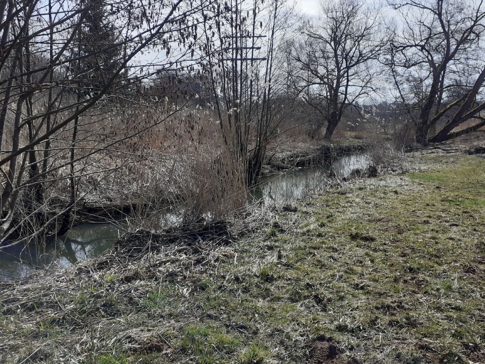 Angeln in Heinersreuther Forst