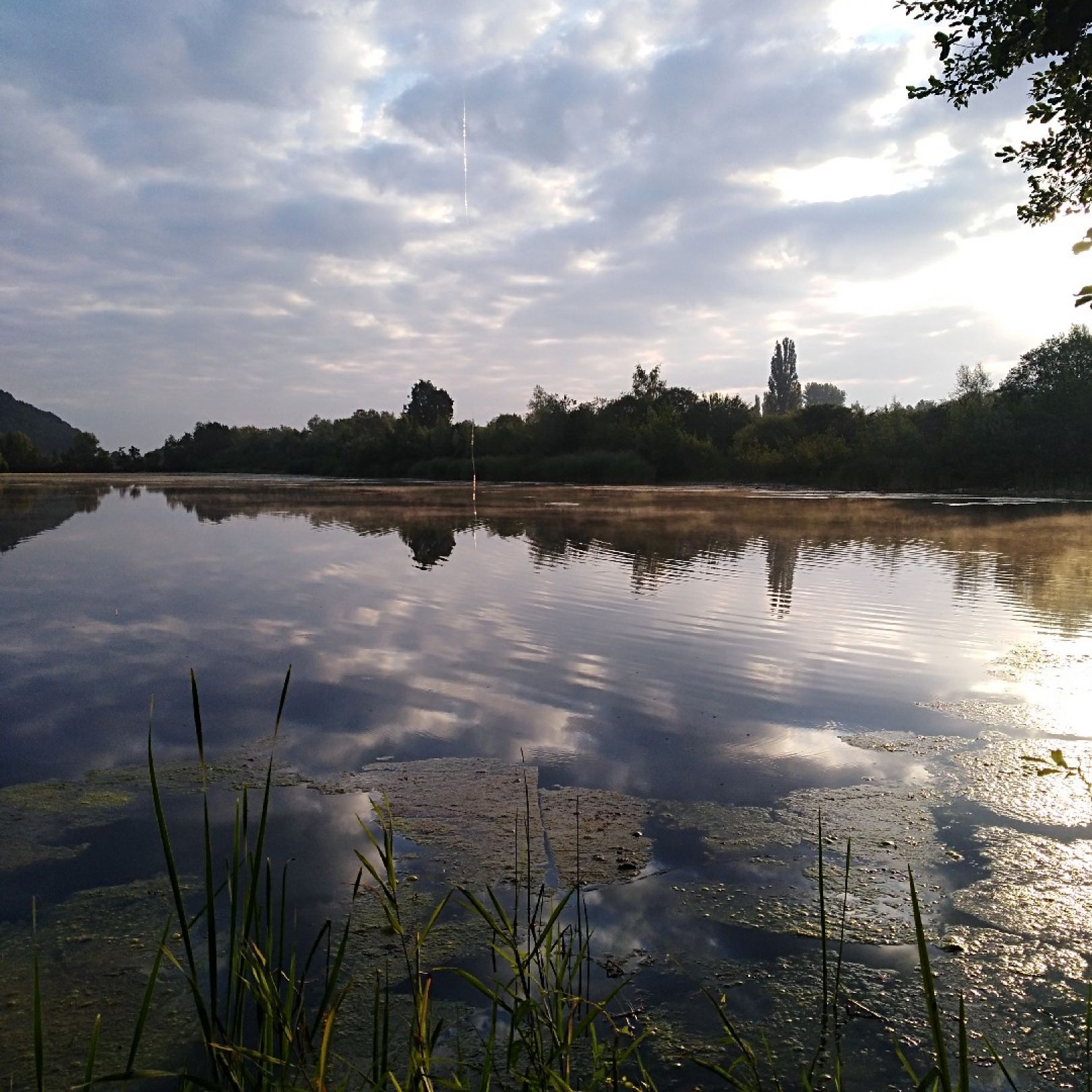 Taubenborn 2 (Höxter) angeln