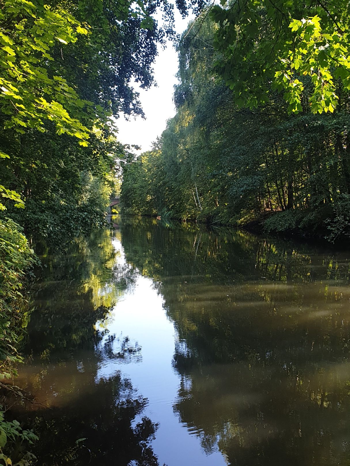 Angeln in Reppenstedt