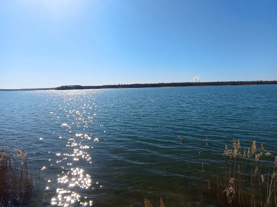 Markkleeberger See angeln