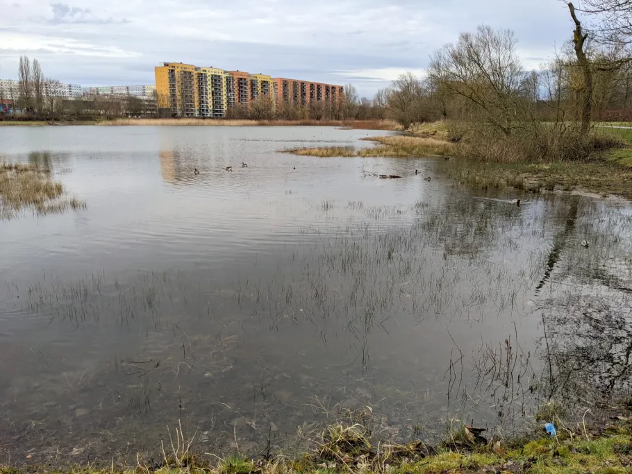 Stapelbecken (Lößnig) angeln