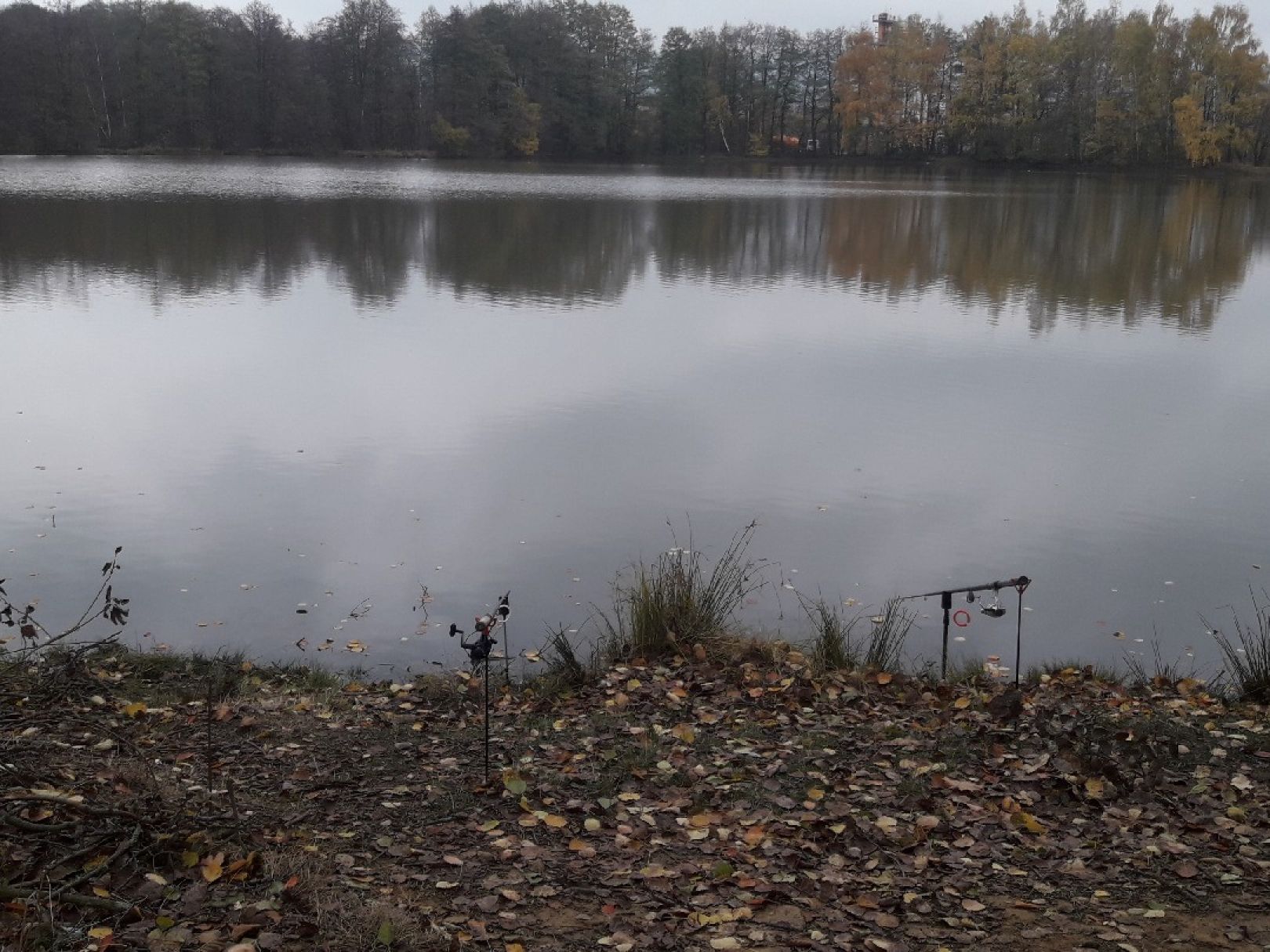Petersweiher (Tröstau) angeln