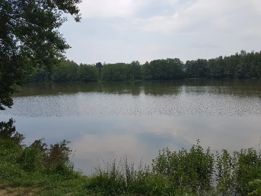 Petersweiher (Tröstau) angeln