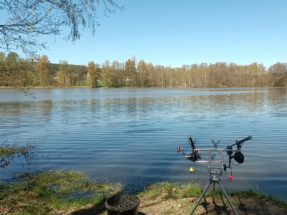 Petersweiher (Tröstau) angeln