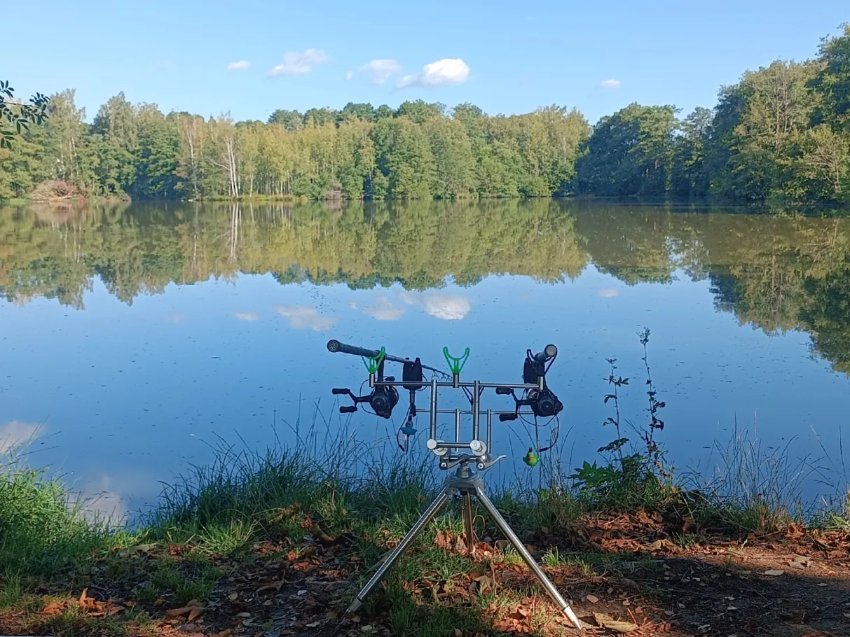 Petersweiher (Tröstau) angeln