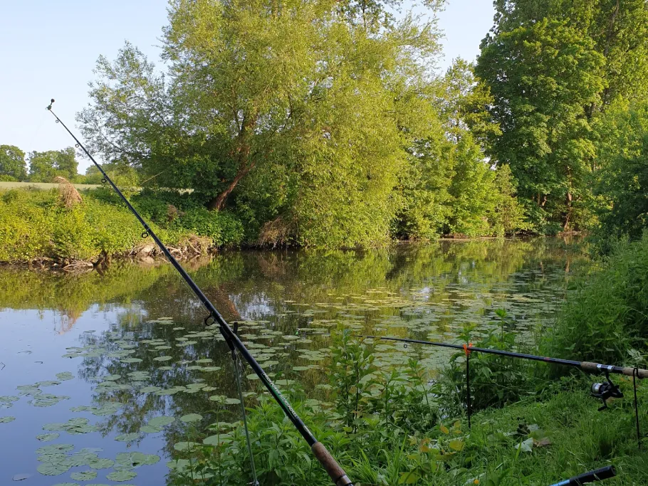 Werse (Handorf) angeln