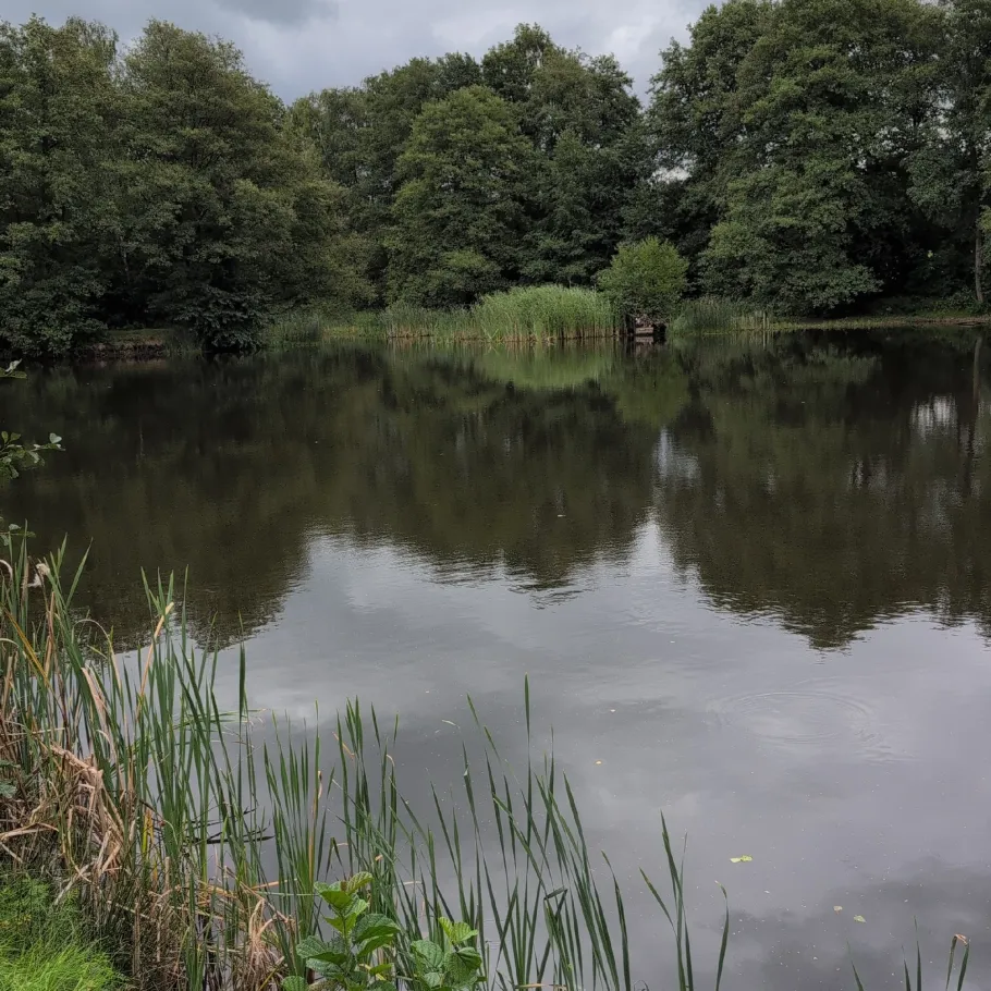 Spatzenteich (Toppenstedt) angeln