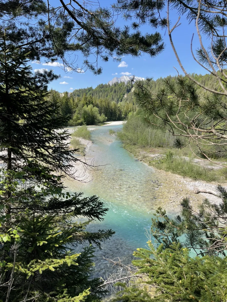 Isar (Krün) angeln