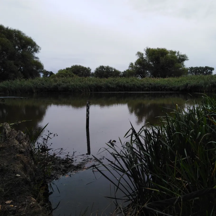 Färberwerder/Melzerwasser (Mörtitz) angeln