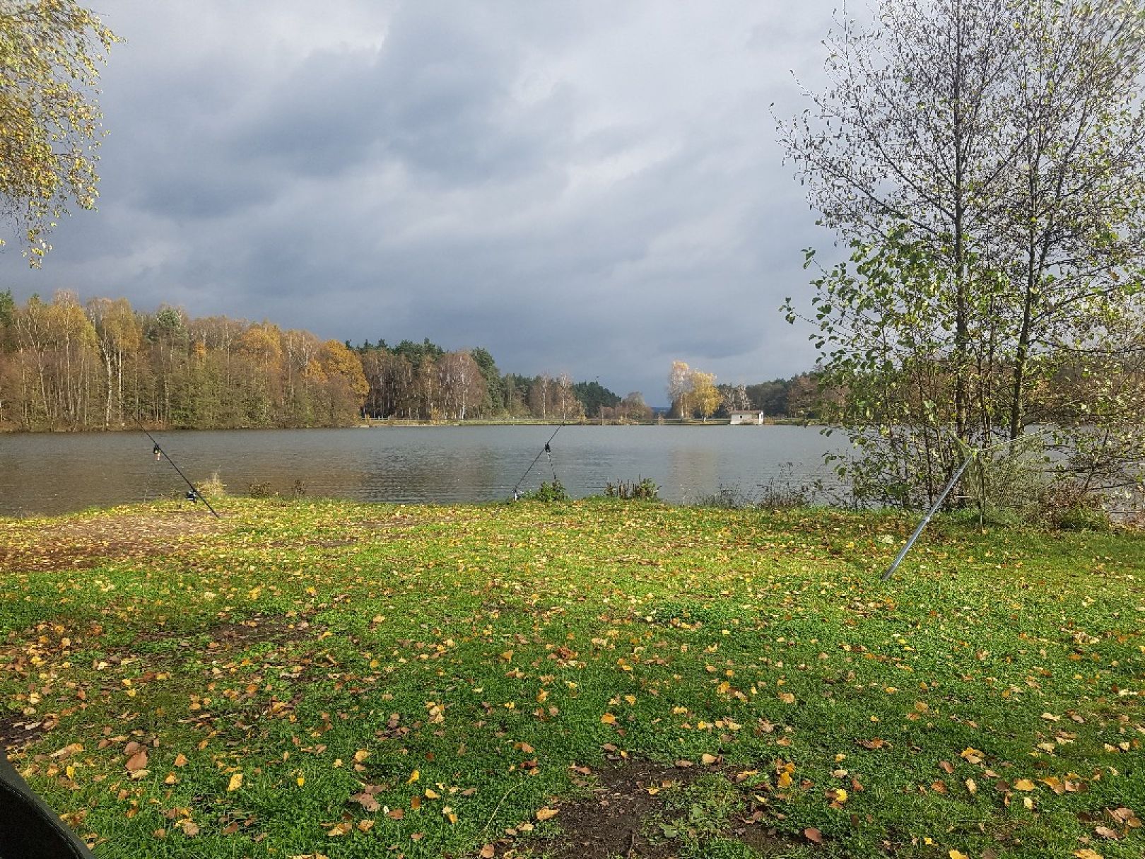 Otterweiher (Kemnath) angeln