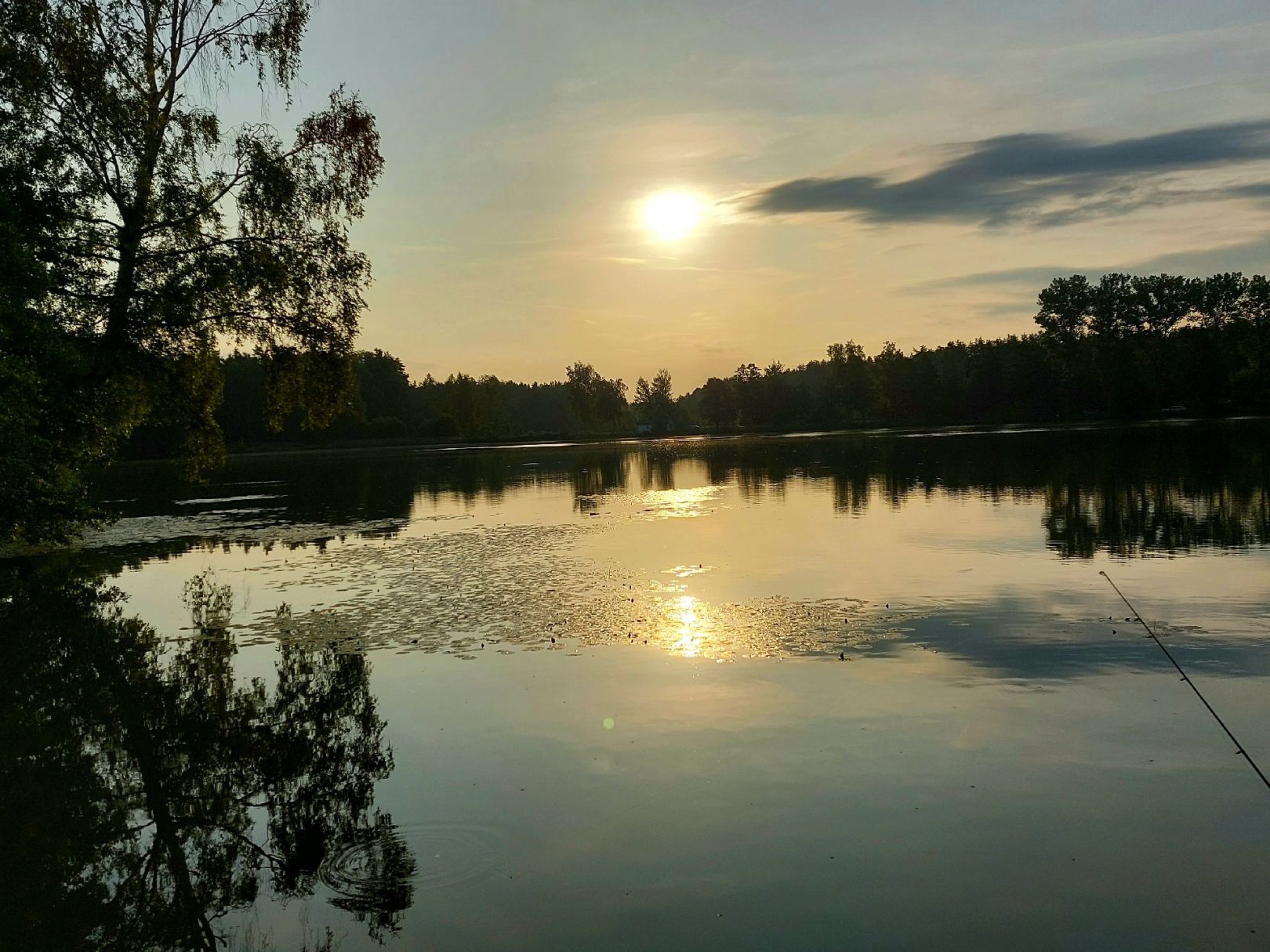 Otterweiher (Kemnath) angeln