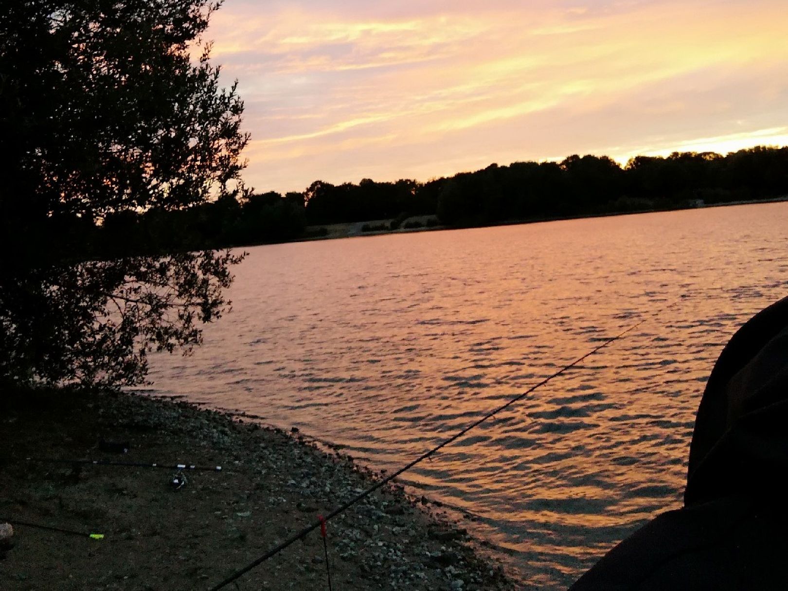 Grüner See (Ratingen) angeln