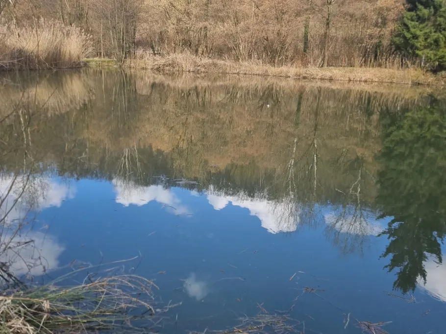 See des Angelverein Ispringen angeln