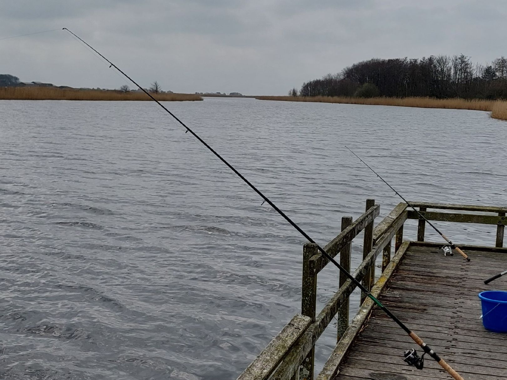 Eijerlands Kanaal (Texel) angeln