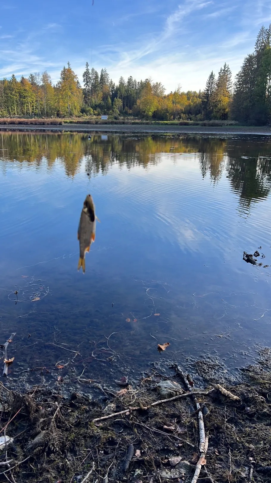 Hackensee angeln