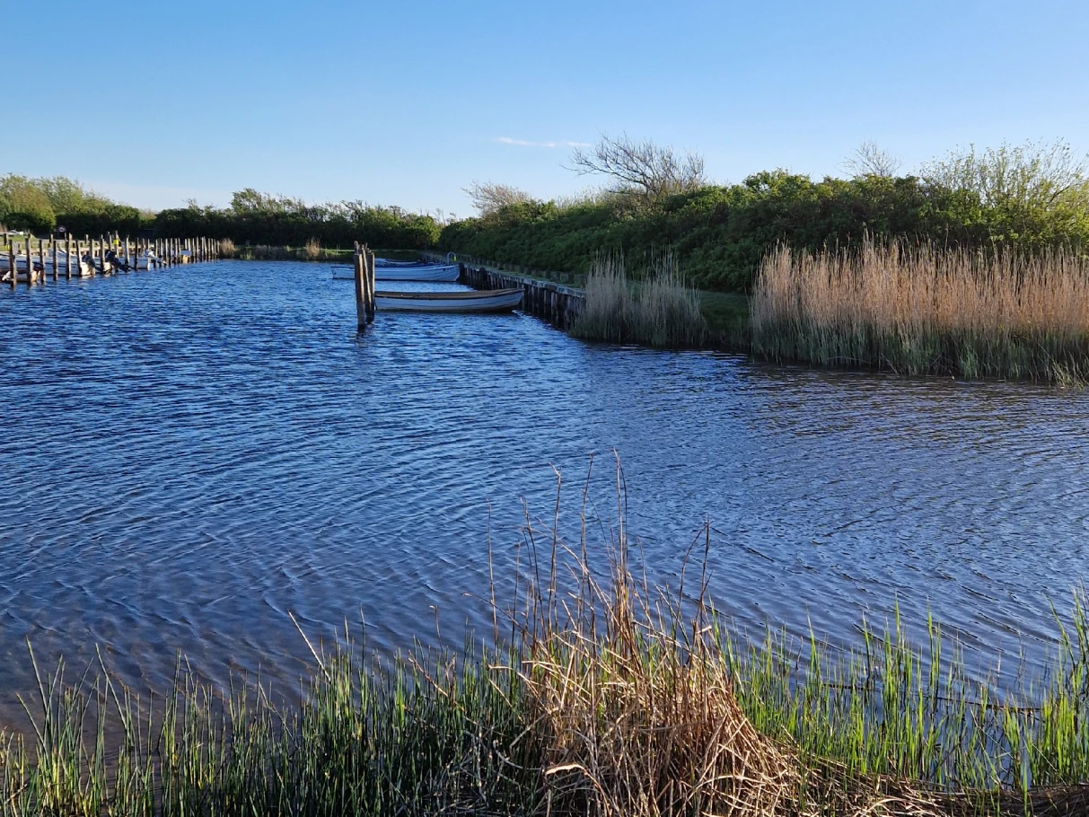 Hafen Stauning angeln
