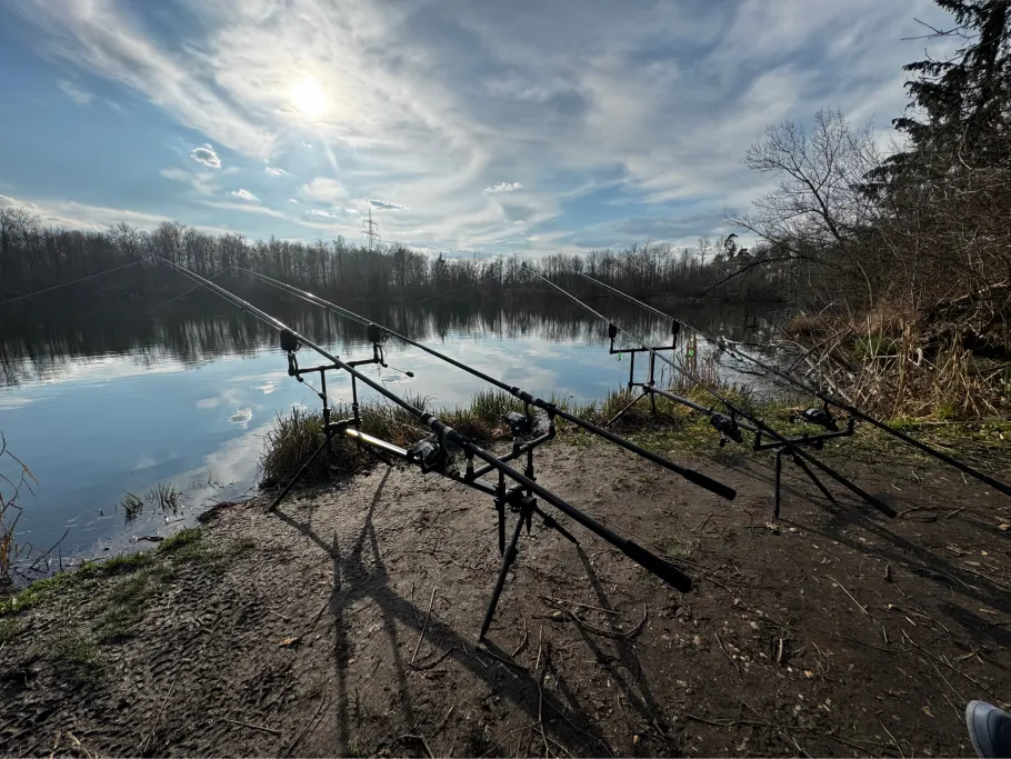 Weißinger See angeln