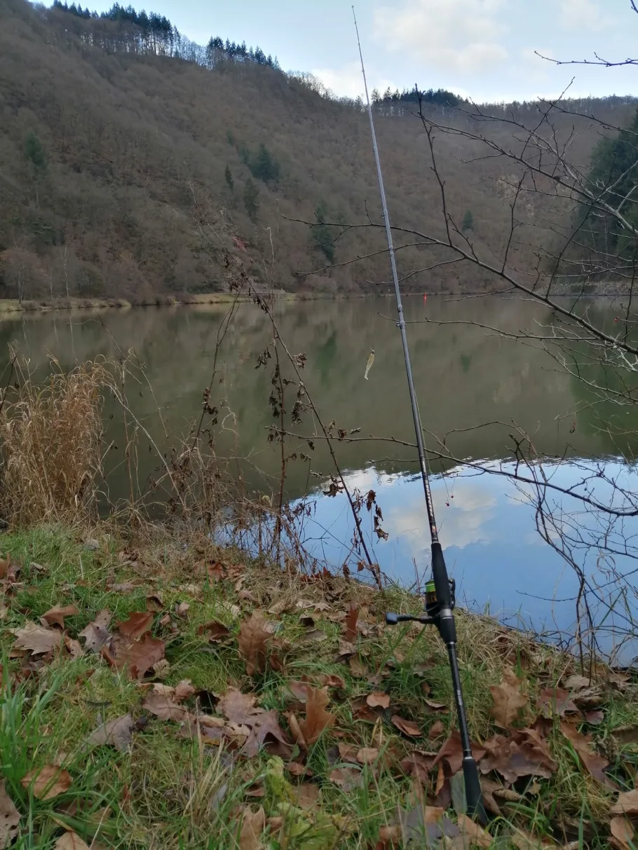 Saar (Mettlach) angeln