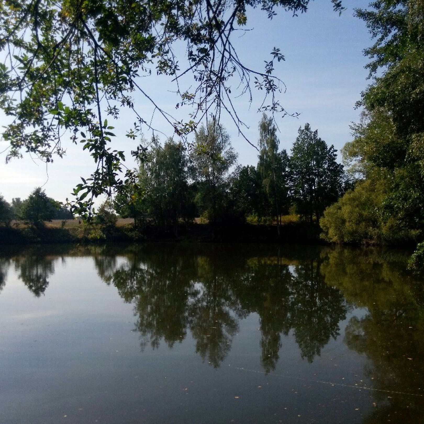 Weisswaldteich (Lugau) angeln