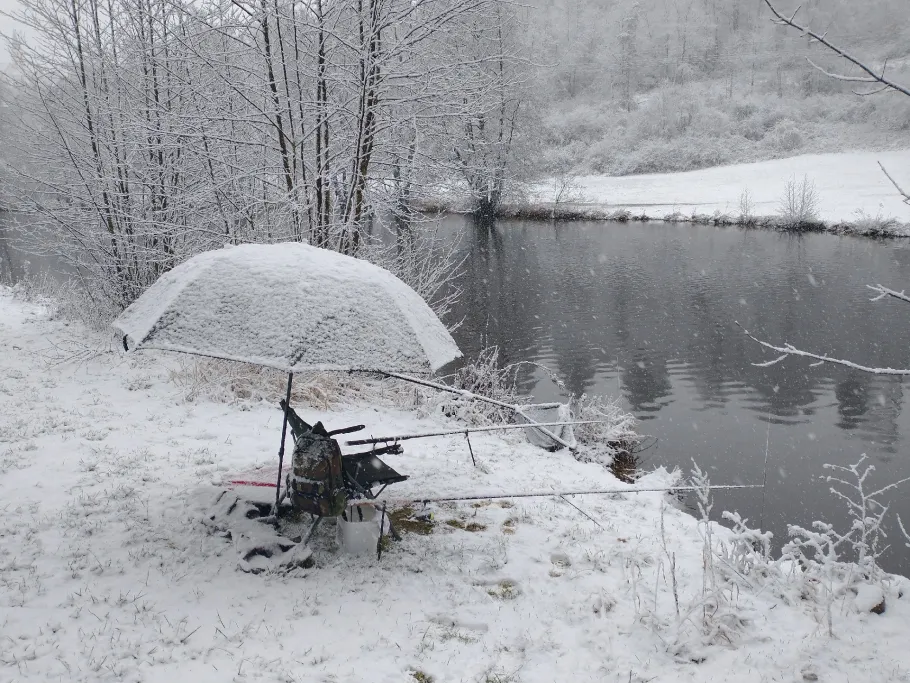 Pfreimd (Trausnitz) angeln